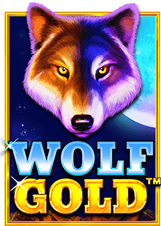 สำรวจโลกสนุกที่คาสิโนญาจาง: เผยวิธีเล่นแบบโปรๆ