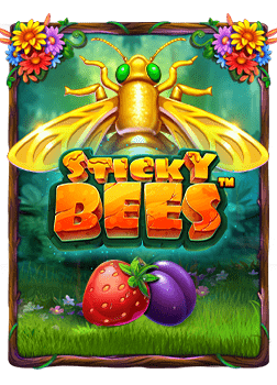 รีวิวคาสิโนที่ดีที่สุด สำหรับมือใหม่และมือโปร